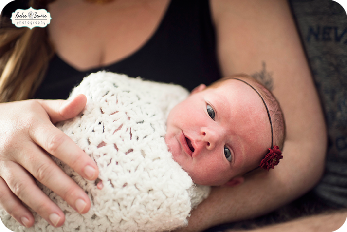 Brevard portrait photographer