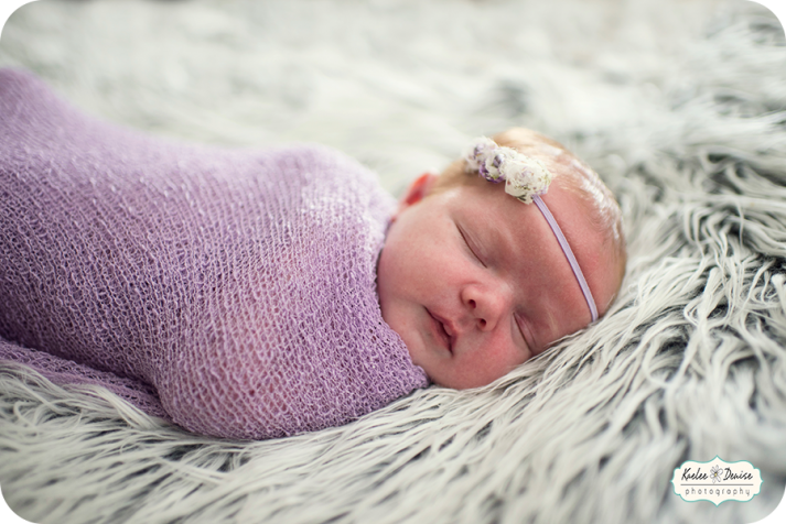 Brevard portrait photographer