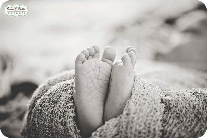 Brevard portrait photographer