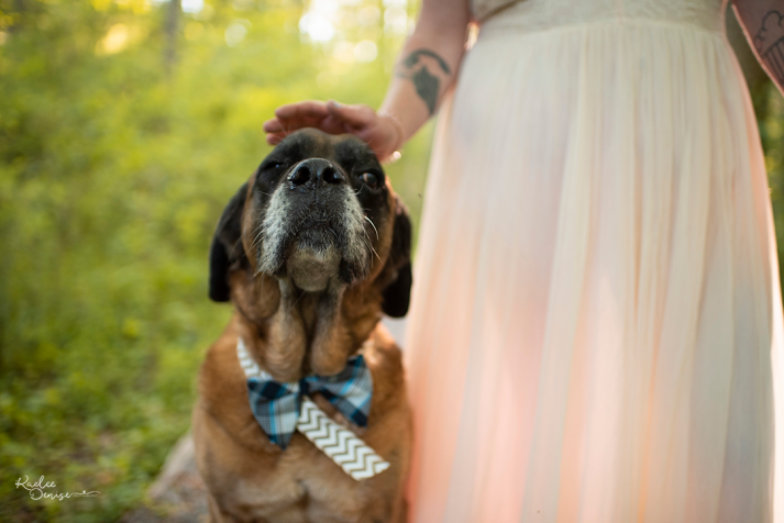 brevard portrait photographer 