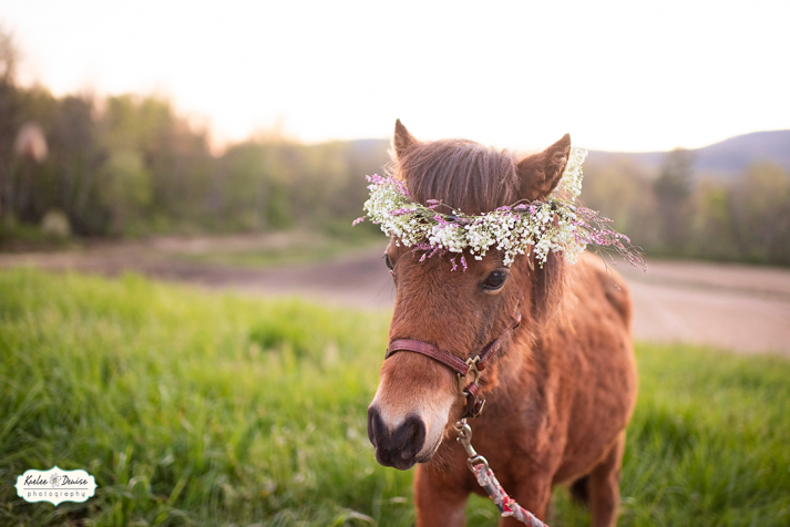 hendersonville portrait photographer