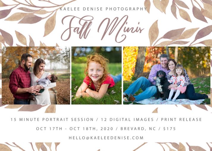 Brevard Family Portrait Photographer