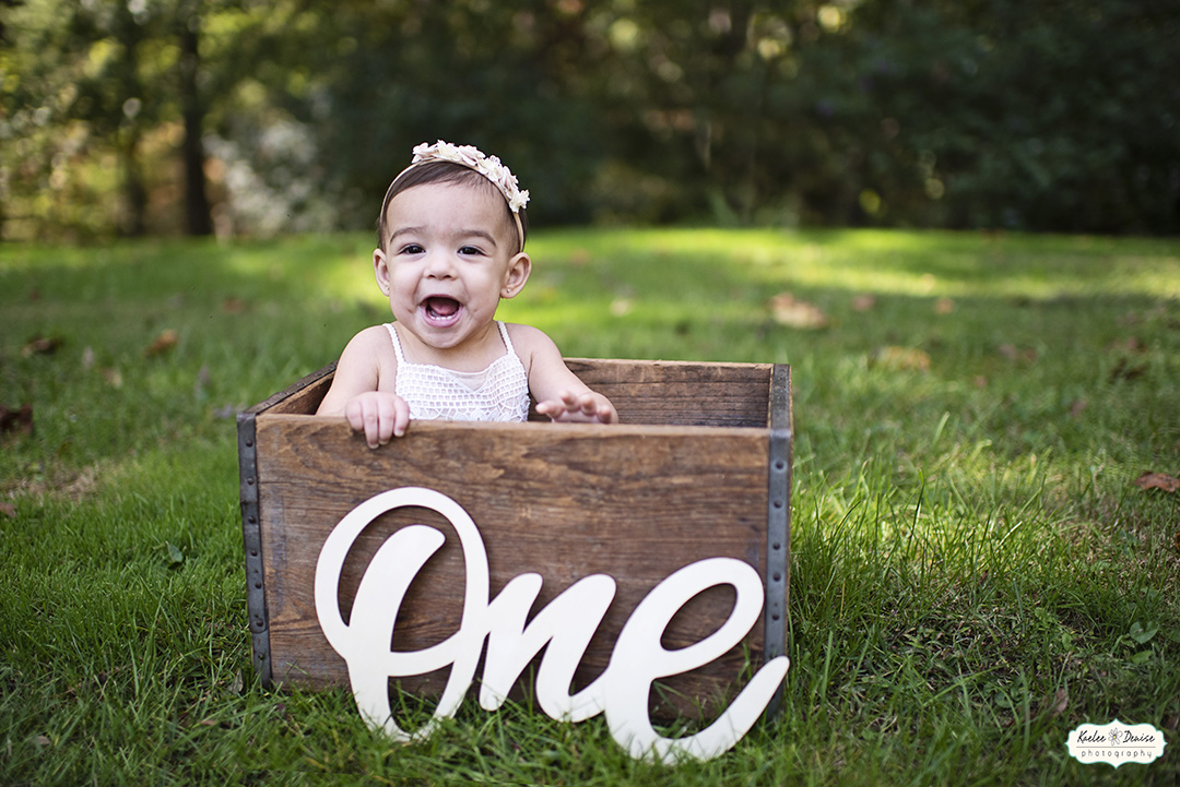 Brevard Cake Smash Photographer