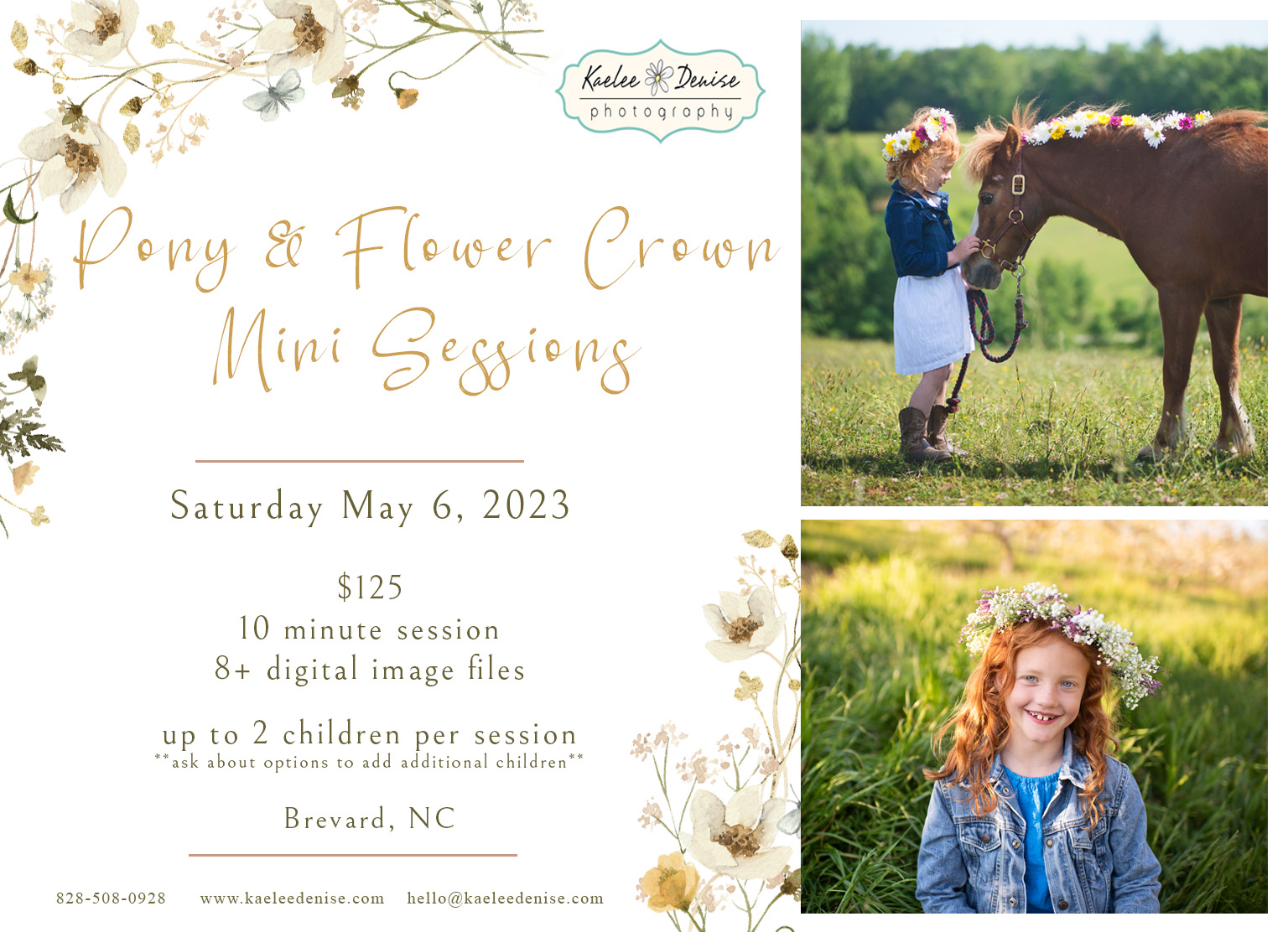 Pony & Flower Crown Mini Sessions